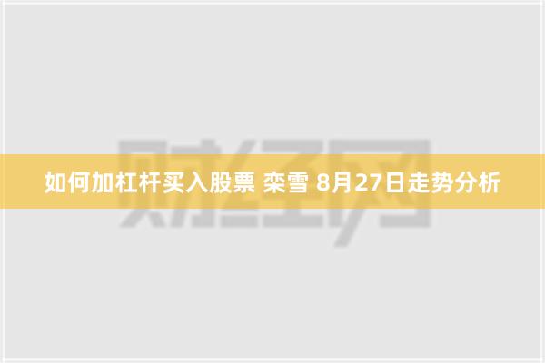 如何加杠杆买入股票 栾雪 8月27日走势分析