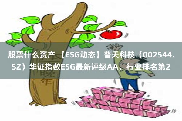 股票什么资产 【ESG动态】普天科技（002544.SZ）华证指数ESG最新评级AA，行业排名第2