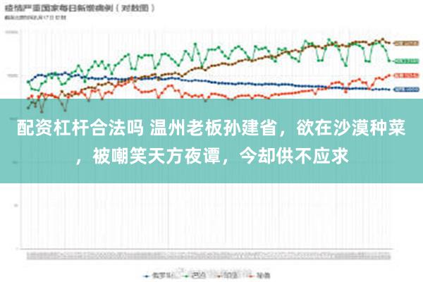 配资杠杆合法吗 温州老板孙建省，欲在沙漠种菜，被嘲笑天方夜谭，今却供不应求