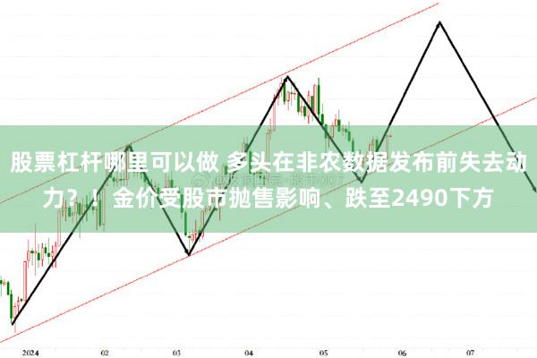 股票杠杆哪里可以做 多头在非农数据发布前失去动力？！金价受股市抛售影响、跌至2490下方