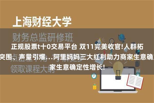 正规股票t十0交易平台 双11完美收官!人群拓新、货品突围、声量引爆…阿里妈妈三大红利助力商家生意确定性增长!