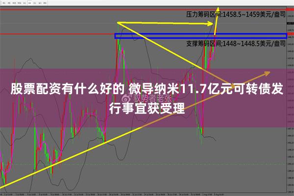 股票配资有什么好的 微导纳米11.7亿元可转债发行事宜获受理