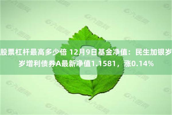 股票杠杆最高多少倍 12月9日基金净值：民生加银岁岁增利债券A最新净值1.1581，涨0.14%