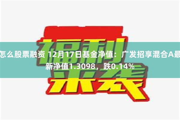 怎么股票融资 12月17日基金净值：广发招享混合A最新净值1.3098，跌0.14%